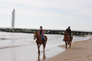 Beach Horseback Riding Now Offered