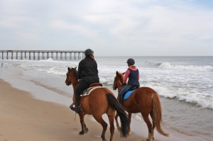NEW FOR WEDNESDAY: Beach Horseback Riding Now Offered In OC