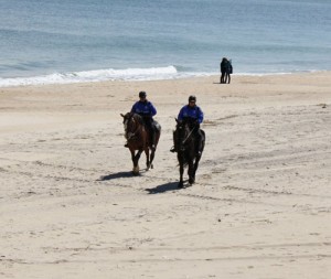 Beach Horseback Rides Coming To OC