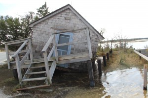 NEW FOR FRIDAY: Sandy Took Major Toll On Assateague Island’s Federal Side
