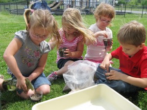 OC Elementary Students Learn About Plants