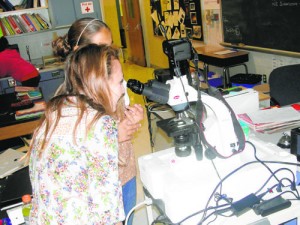 SD Middle School Students View Plankton Under A Microscope