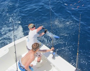 NEW FOR THURSDAY: Season’s First White Marlin Sets New OC Record