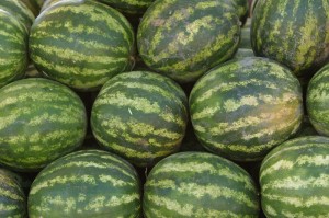 Del. Firefighters Charged For Using Watermelons In Vandalism Spree