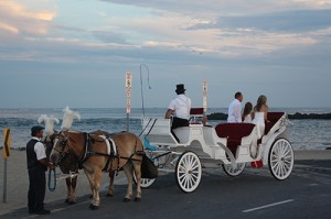 Valentine’s Carriage Rides Approved