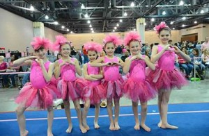 Twisters Women’s Gymnastics Team Travels To PA Convention Center In Philadelphia For 2014 Pink Invitational