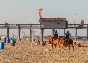 Ocean City Police Records ‘Calmer June Than Most’; Serious Crimes Down 5% In 2014