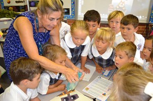 Worcester Prep Kindergartners Use Gel Space Habitat To Learn About Ants
