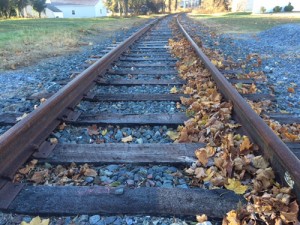 Excursion Train Study Spotlights Track Condition; Railroad Needs Improvements