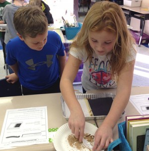 Showell Elementary School Third Graders Investigated Meal-Worms And Color Attraction
