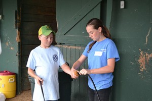 Camp Provides Youth Inside Look At Harness Racing