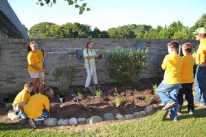 Community Groups Partner On Improving School Garden