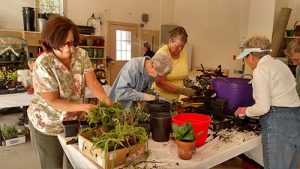 Worcester County Garden Club Holds Annual Plant Auction And Sale