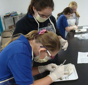 Seaside Christian Academy Students Dissect Fish