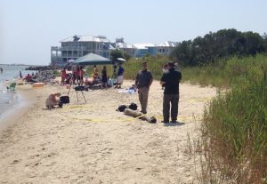 UPDATE: Bone Found In Bay Not Human, Medical Examiner Finds