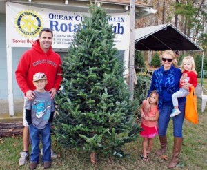 Annual OC / Berlin Rotary Club Christmas Tree Sale Begins