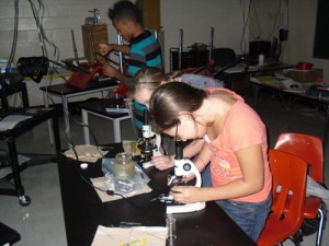 Students Examine Samples From The Local Bays