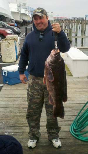 DNR Confirms State Record Tautog