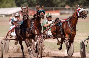 Live Racing Set to Return to Ocean Downs