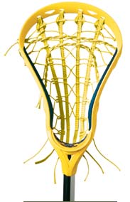 Beach Lacrosse Accepting Players