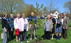 Daughters Of The American Revolution Donate Tree To Worcester Prep