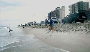Public Outcry Leads Council To Pull Plug On Beach Vehicle Access Plans; Officials Maintain No Final Decision Was Made, Despite Motion Clearly Stating Intention