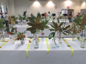 County Garden Club Hosts Small Standard Flower Show