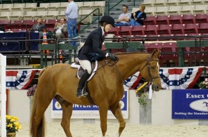 Worcester Prep Senior, Hannah Showell, Ties For Grand Champion At Capital Challenge Horse Show