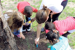 Buckingham Elementary Students Become Entomologists For Afternoon