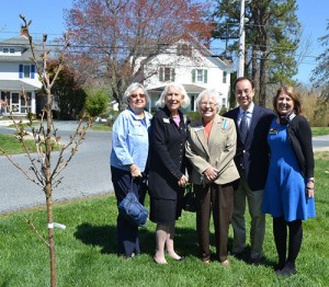 Daughters Of The American Revolution Present Japanese Cherry To Worcester Prep School