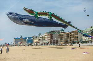 Sunfest Kite Festival Returns To OC This Weekend