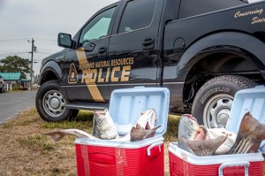 Four Charged With Fishing Violation
