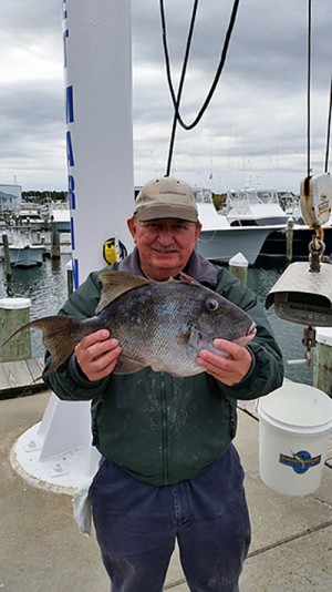 Halloween Triggerfish Confirmed As State Record