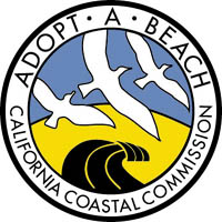Ocean City Surf Club Proposes Adopt-Your-Beach Program For 2015