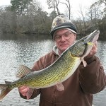 This chain pickerel weighed eight pounds and was caught in Wicomico County.