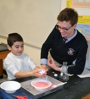 Worcester Prep Kindergartner Has Fun Working With Sophomore In Science Class
