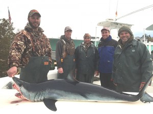 Year’s First Mako Shark Hooked By Ocean City Boat