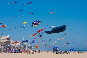 Annual Md. Kite Festival Gets Underway In OC Friday