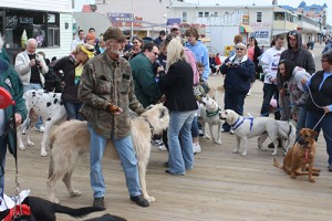 Boardwalkin’ For Pets, Other Events Planned For Shelter; Adolfo’s Hosting Dinner Fundraiser