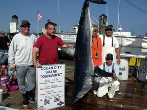 Ocean City Shark Tournament To End After 34 Years