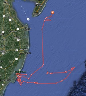After Creating Stir For Last Week, Mary Lee Headed On Northern Path?