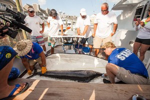 307 Boats Vying For $3.87 Million In White Marlin Open