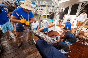 Big Blue Tops Leaderboard On Active First Day Of White Marlin Open