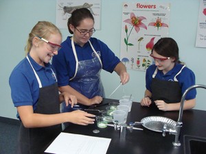 Seaside Christian Academy Students Learn About Chemical Reactions