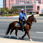 Mr. President, who passed away last week, was a high-profile member of the Ocean City Police Department Mounted Unit for 17 years before retiring in the summer of 2010. The horse is pictured with retired Corporal Ray Land. File Photo