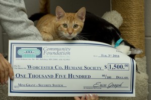 Community Foundation Of The Eastern Shore Awards Worcester County Humane Society With Mini Grant