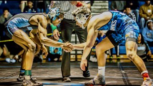 Decatur Wrestlers Solid At State Meet
