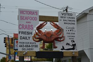 Victoria’s Ready For First Season In Ocean City; ‘Crabologist’ Weighs Each Crab