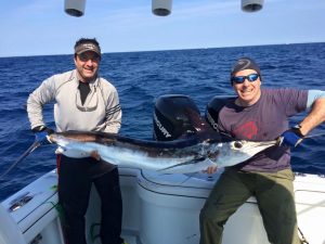 Season’s First White Marlin Second Earliest Ever