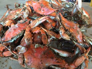 Berlin To Host First-Ever Main Street Crab Feast
